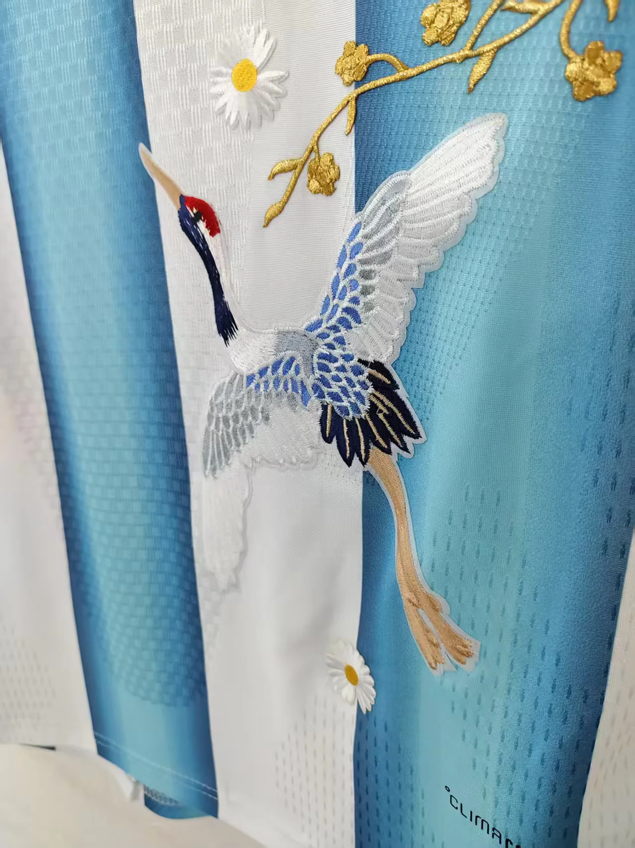 Argentina 2026 Edição Especial Versão Jogador (3)