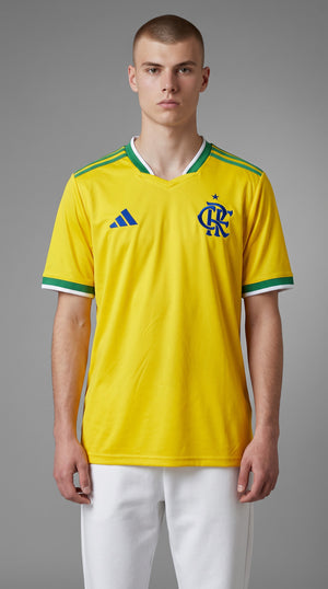 acervo-generated:front:6678a3:flamengo-2026-27-treino-244711351