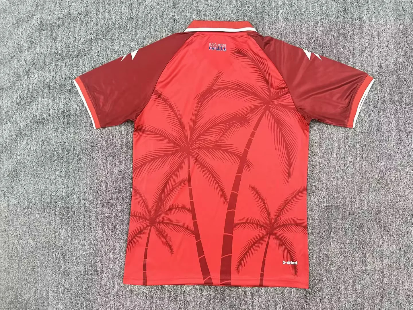 Haiti 2026 Alternado