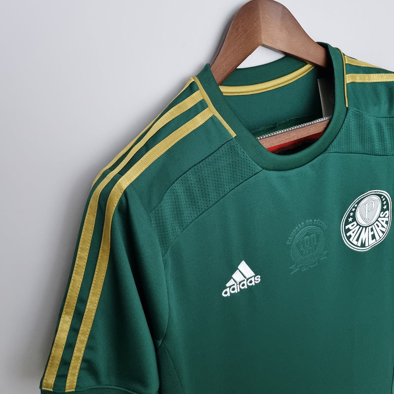 Palmeiras 2014-15 Casa