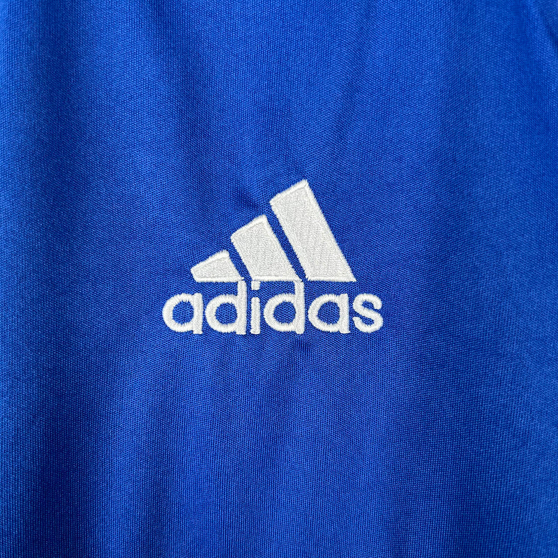 Palmeiras 2009 Alternado
