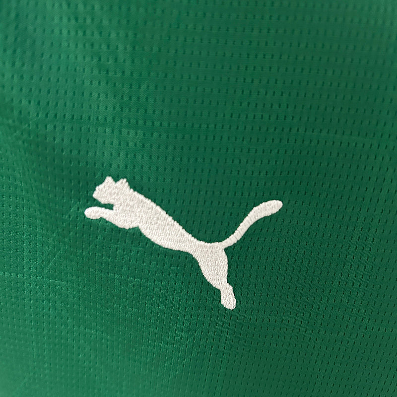 Palmeiras 2025-26 Casa Feminino