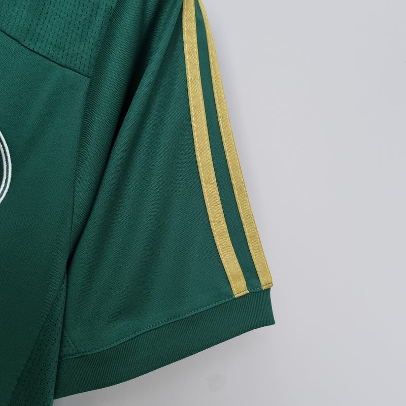 Palmeiras 2014-15 Casa
