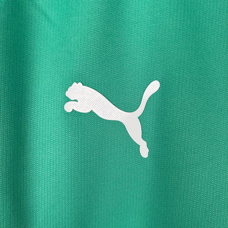 Palmeiras 2019-20 Alternado