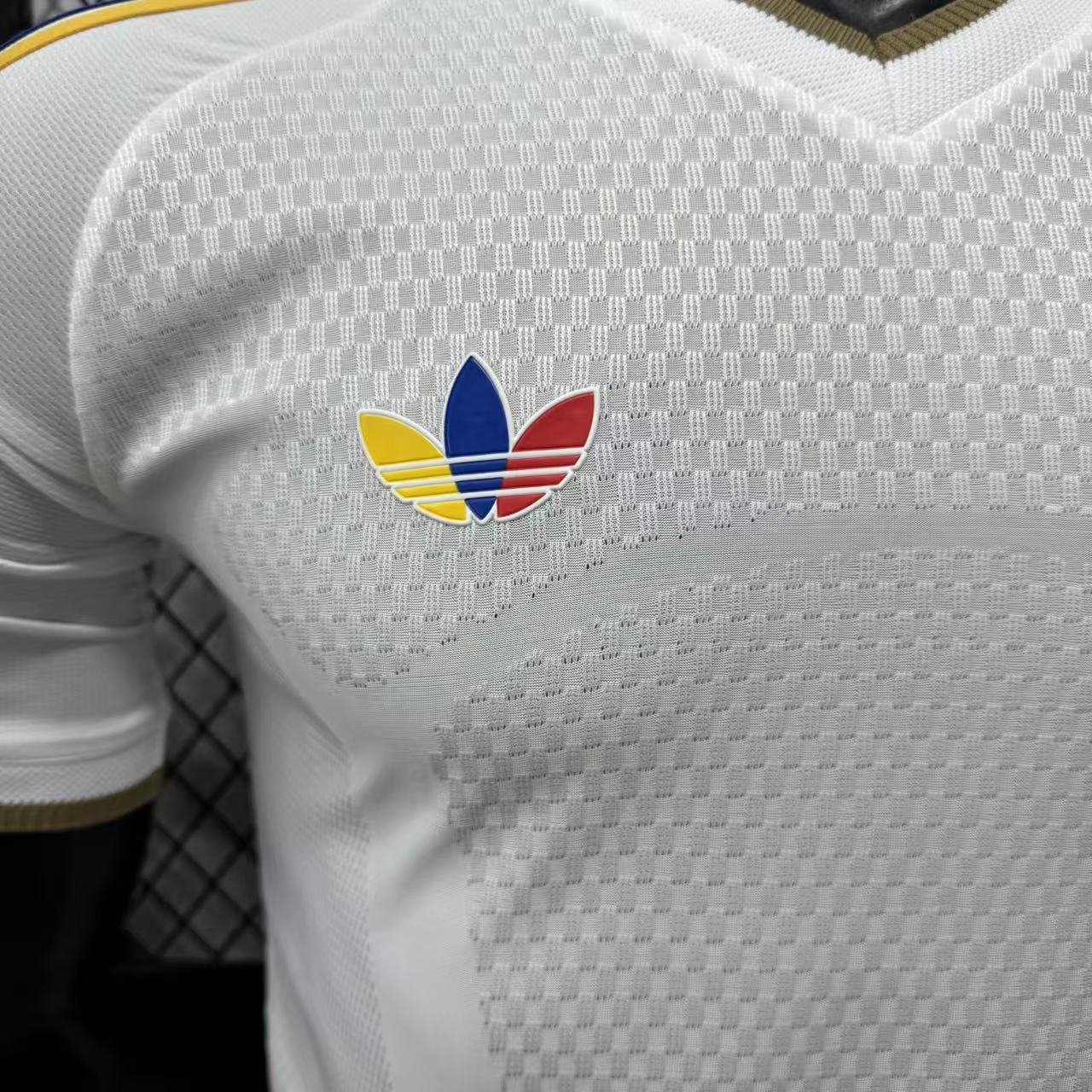 Venezuela 2026 Fora Versão Jogador