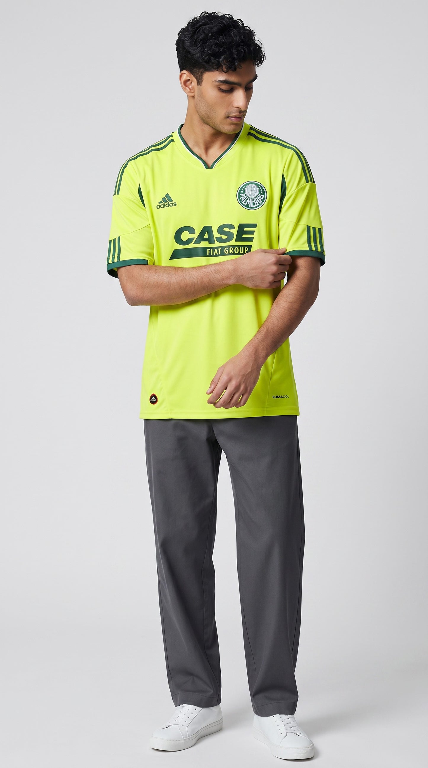 Palmeiras 2010-11